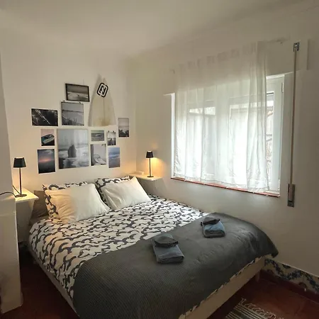 Sardine Sanctuary - The